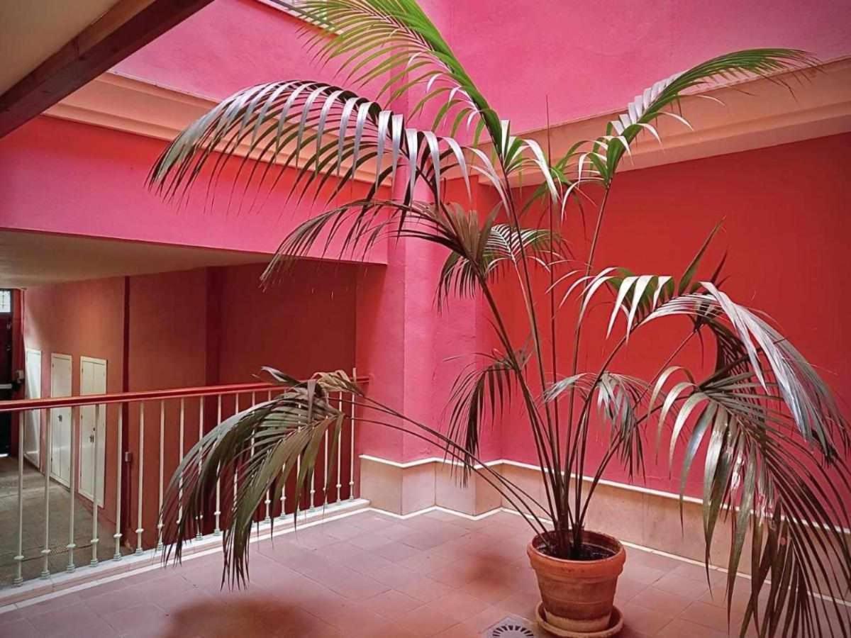 Apartamento Sauceda 7 Sevilla Kültér fotó